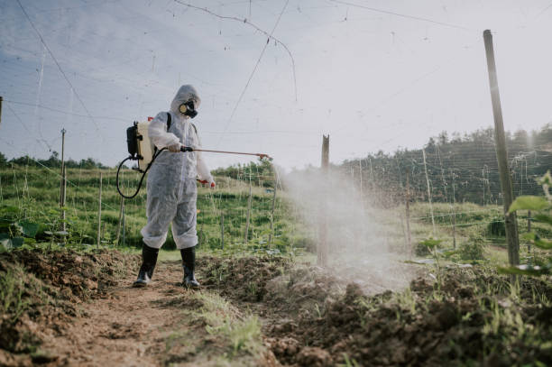 Best Best Pest Control Companies  in West York, PA