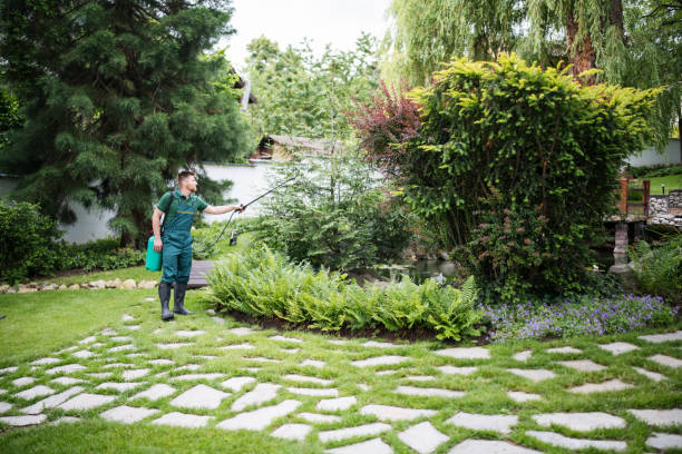 Insect Control in West York, PA
