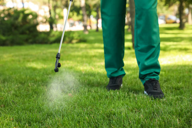 Pest Control for Restaurants in West York, PA