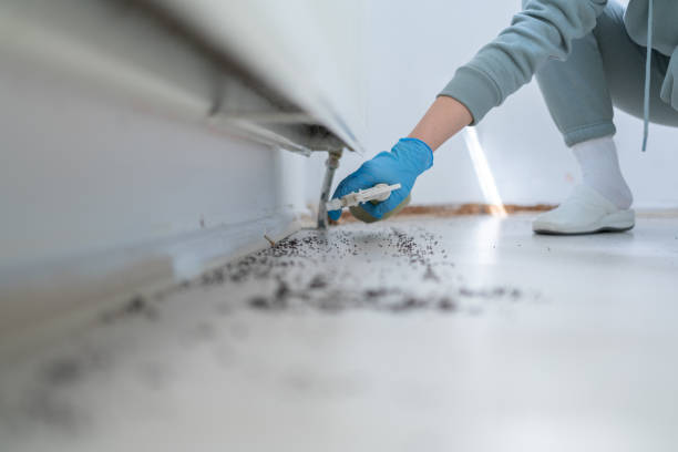 Best Best Pest Control Companies  in West York, PA